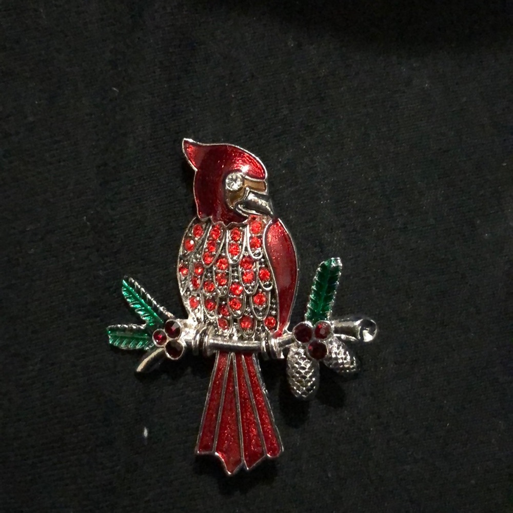 Cardinal brooch